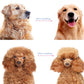 🐶🐱✨ מברשת מקצועית להסרת פרווה – קלה לשימוש, מסירה פרווה עודפת ללא כאב 💫