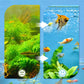 🎉Verkoop van de week 🎉Professioneel 8D hoge dichtheid aquarium filterschuim🐠