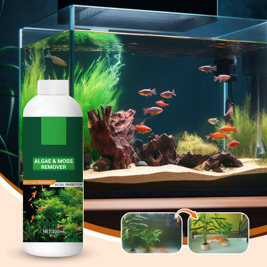 Algen- en mosverwijderaar voor aquariums - Veilige waterzuivering