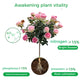 🌱  50% UIT -  Rapid Bloom Booster Powder | Snelle wortelgroei + Grotere bloemen!🌸