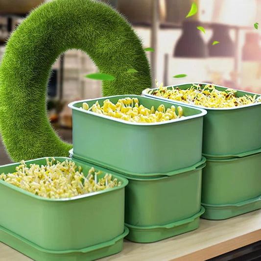 🌱🔥 ארגז לגידול נבטי שעועית ערום, ניתן לערימה, גידול קל ובריא בבית בקלות ✨