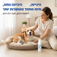 🔥50% הנחה! קצף ניקוי יבש לחיות מחמד 🐶🐱 ללא שטיפה, ניקוי מהיר לכלבים וחתולים, ריח נעים ✨